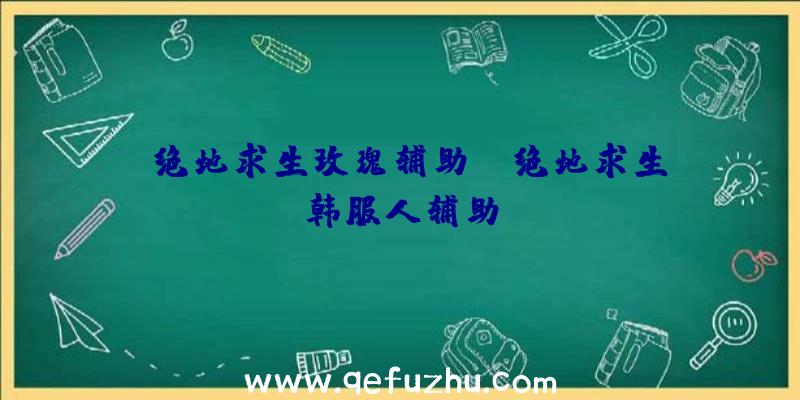「绝地求生玫瑰辅助」|绝地求生韩服人辅助